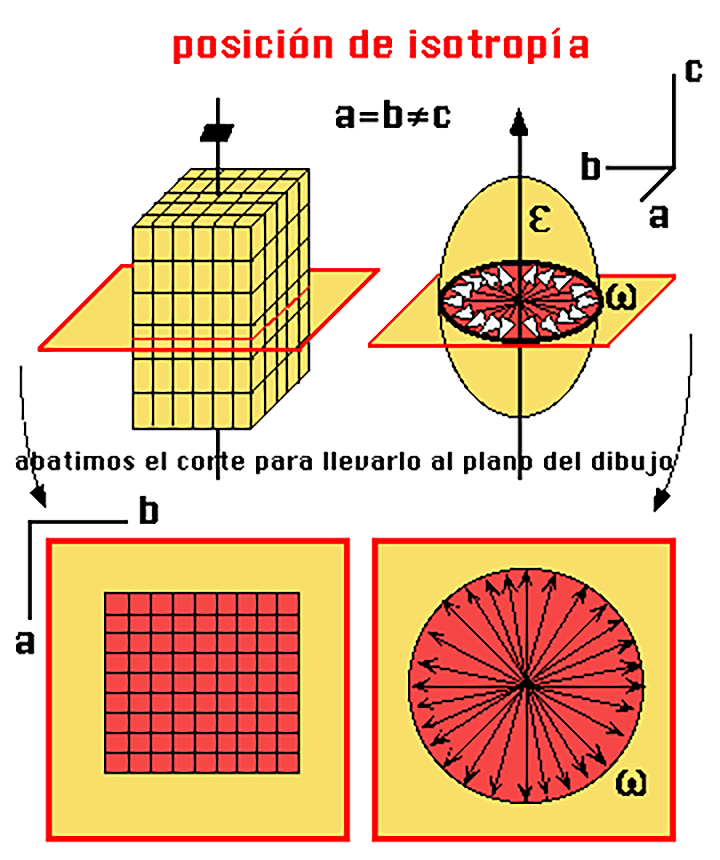 Anisotropia e isotropia 