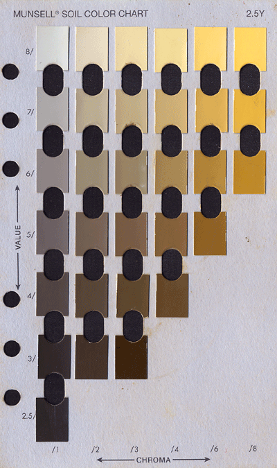Munsell HUE 2 5Y